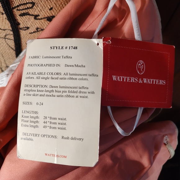 Watters and Watters Tan luminescent Formal Party Wedding Dress Size 10 NWT - Picture 3 of 7